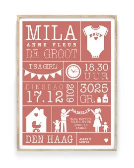 baby geboorteposter met eigen naam. Gepersonaliseerde poster/print in diverse kleuren en gezinssamenstellingen. Met o.a naam, datum en geboorteplaats