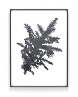 Botanische Kerst Poster in zwart wit óf met kleur