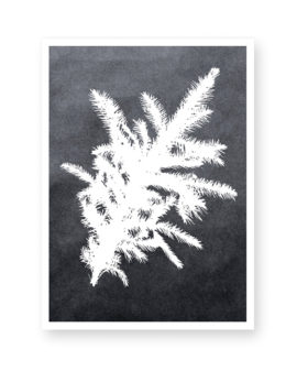 Botanische Kerst Poster met Dennetak in zwart wit