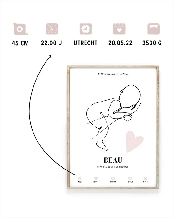 info-baby-icoontjes-geboorte-line-art-poster