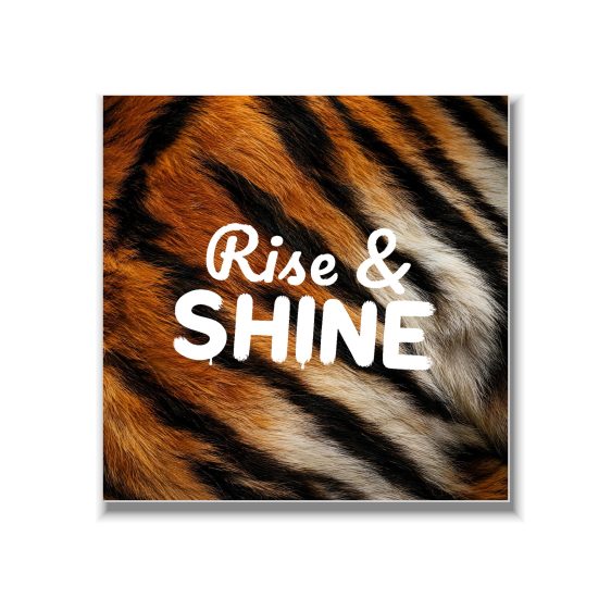 Statement Art – Rise & Shine – Dibond - Printcandy