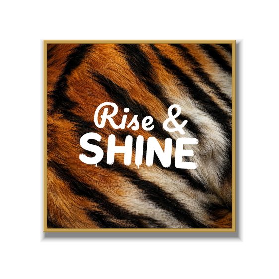 Statement Art – Rise & Shine – Velours in alu lijst goud - Printcandy