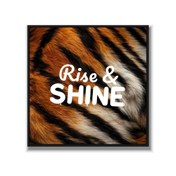 Statement Art – Rise & Shine – Velours in alu lijst zwart - Printcandy